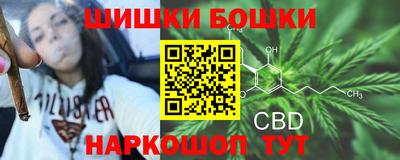 spice Кунгур