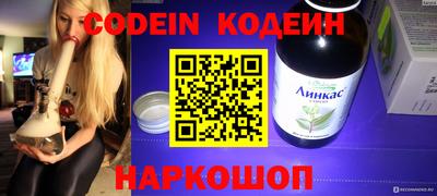 spice Кунгур